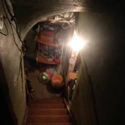 Runamuk : Live in the Basement